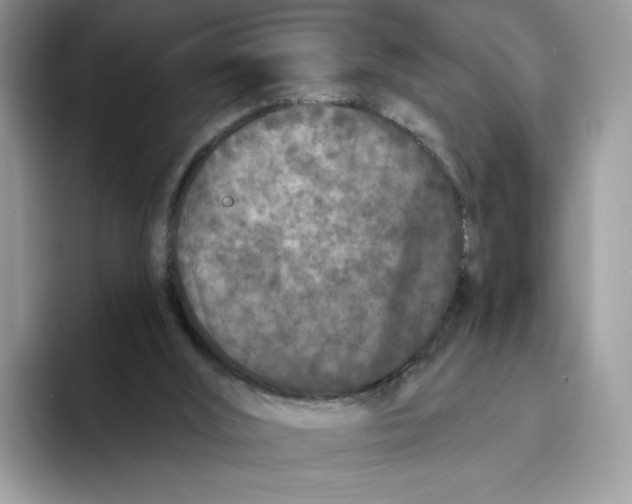 X0000093480012200711091635