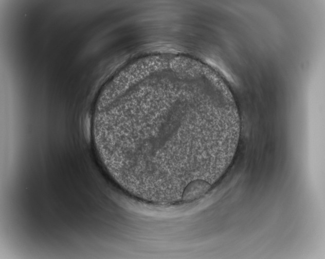 X0000093480014200711091635