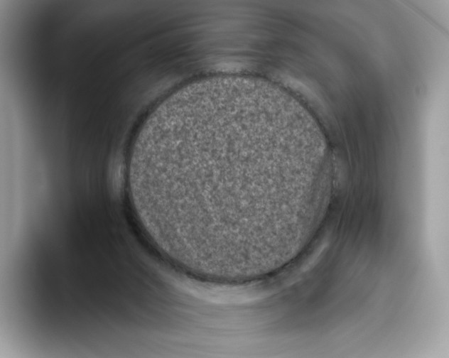 X0000093480016200711091635