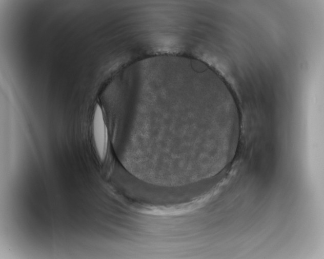 X0000093480017200711091635