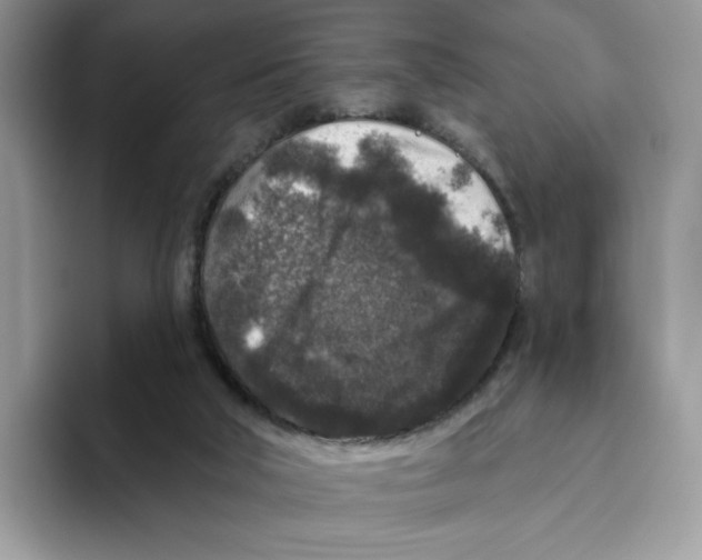 X0000093480018200711091635
