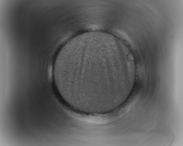 X0000093480024200711091635