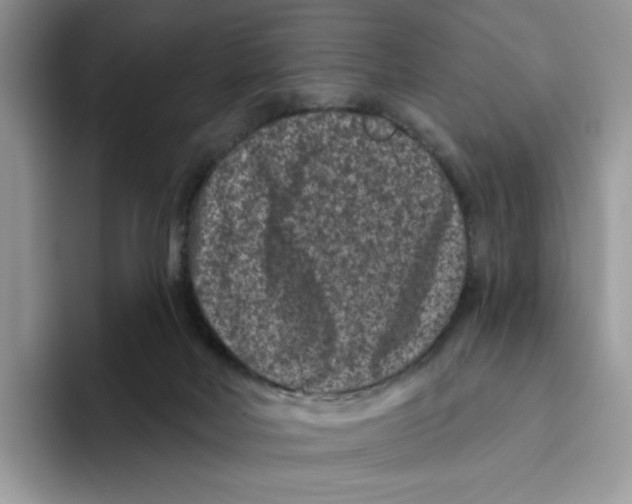 X0000093480026200711091634