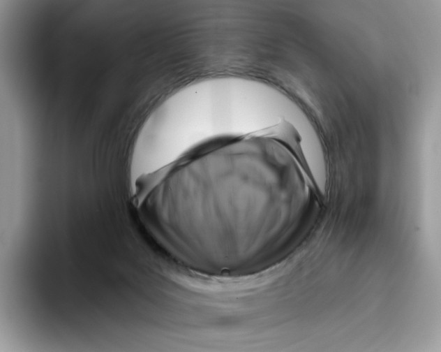 X0000093480027200711091634