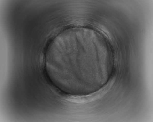 X0000093480029200711091634