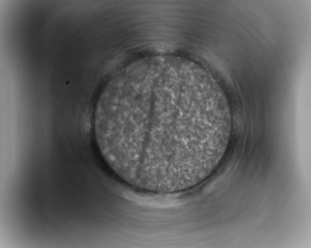 X0000093480032200711091634
