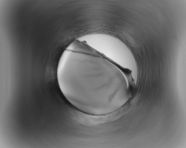 X0000093480039200711091634