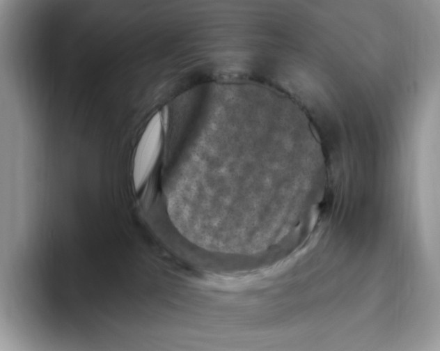 X0000093480041200711091634