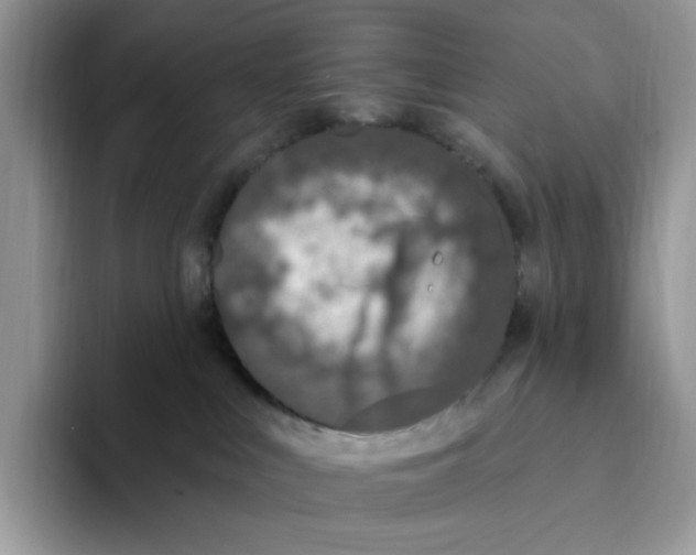 X0000093480043200711091634