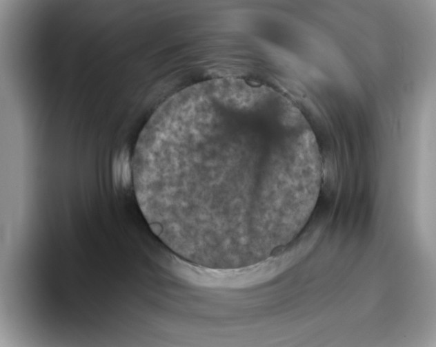X0000093480046200711091634