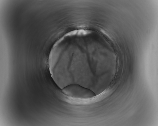 X0000093480048200711091634
