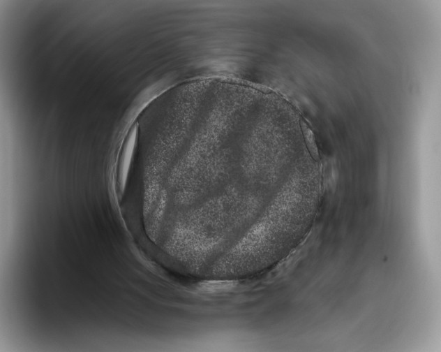 X0000093480051200711091634