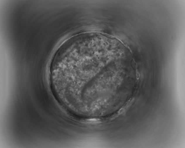 X0000093480053200711091634