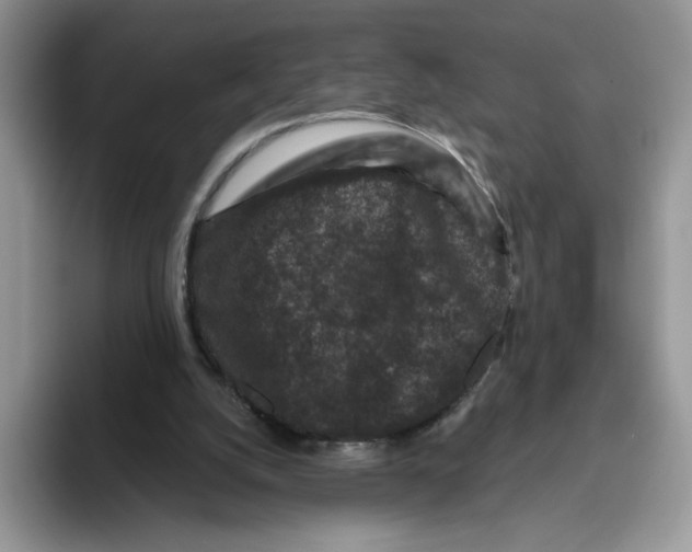 X0000093480056200711091634