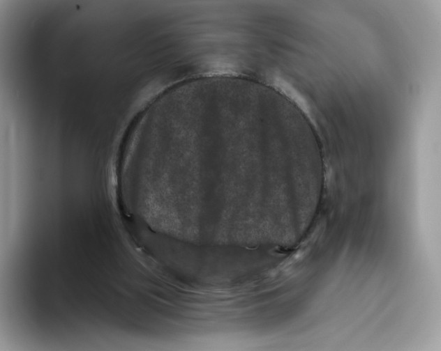 X0000093480059200711091634