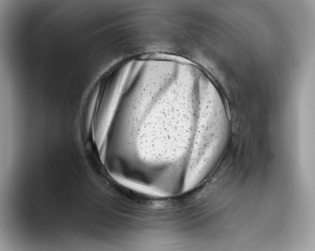 X0000093480060200711091634