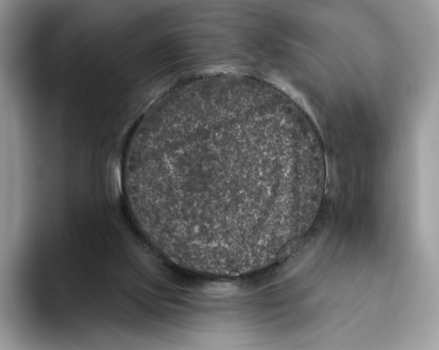 X0000093480061200711091634