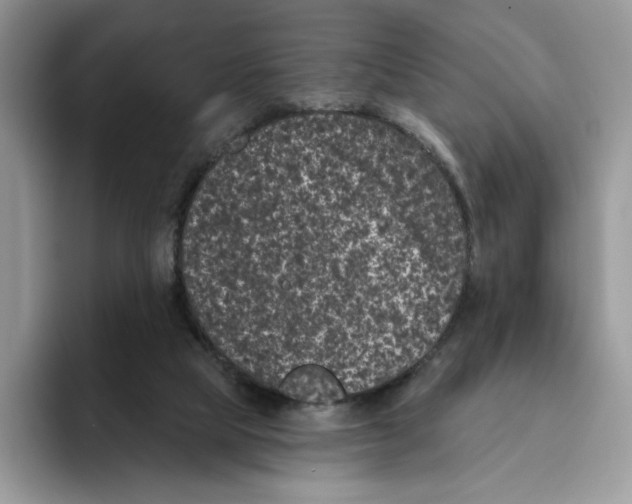 X0000093480065200711091634
