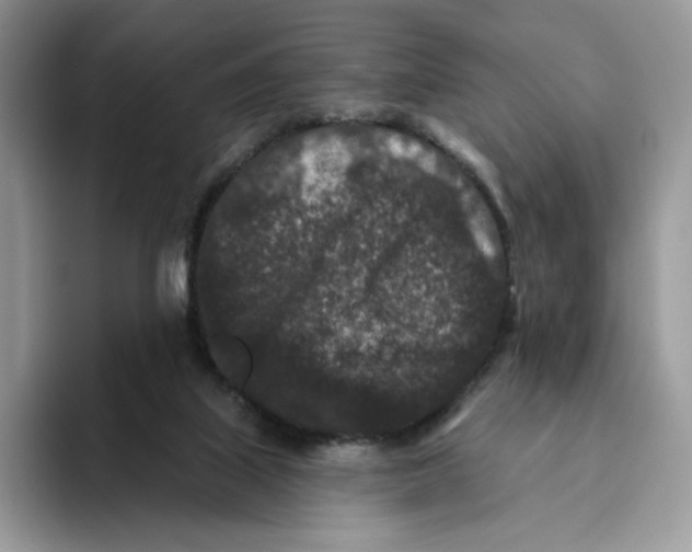 X0000093480067200711091634
