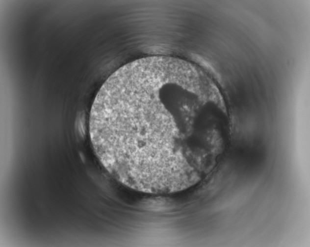 X0000093480069200711091634