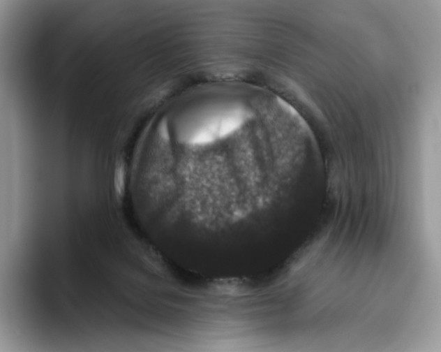 X0000093480076200711091634