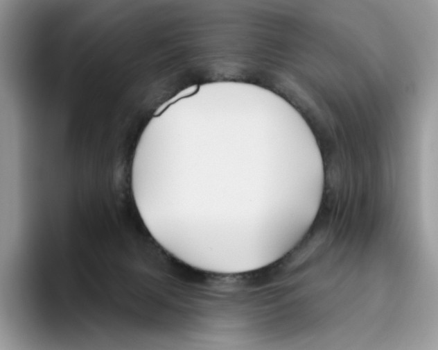 X0000093480079200711091634