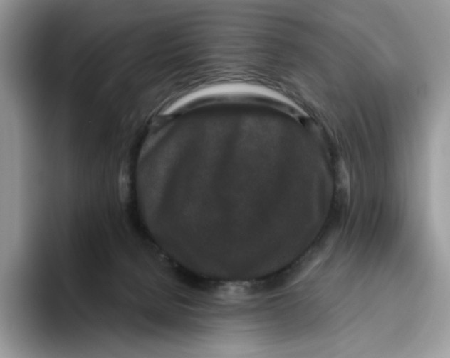 X0000093480080200711091634