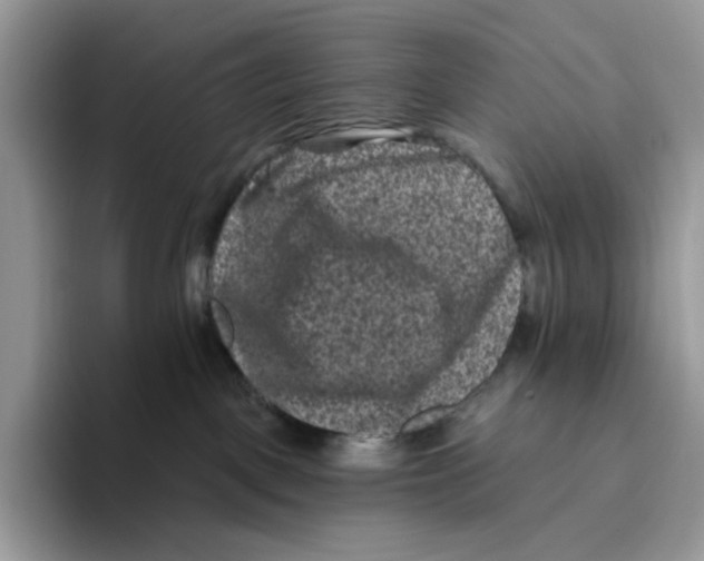 X0000093480093200711091634