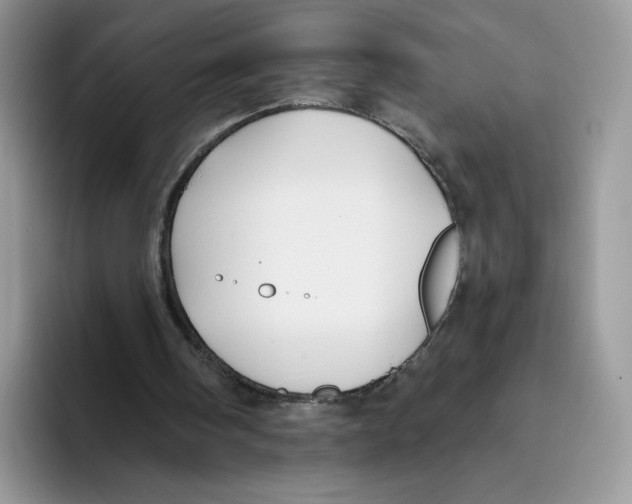 X0000093480098200711091634