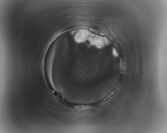 X0000093480099200711091634