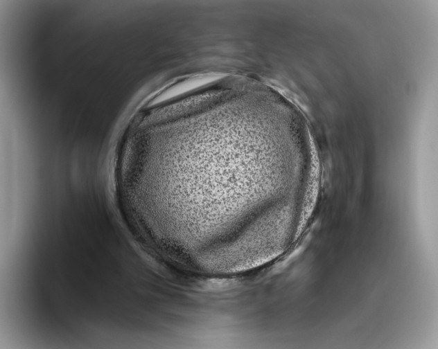 X0000093480101200711091634