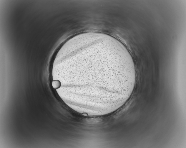 X0000093480102200711091634