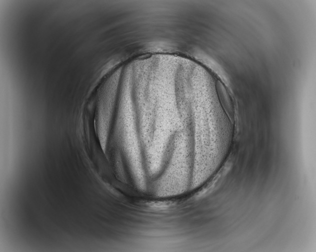 X0000093480105200711091634