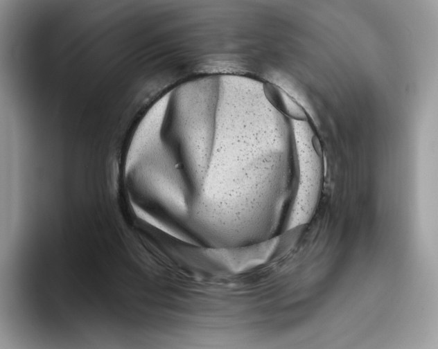 X0000093480109200711091634