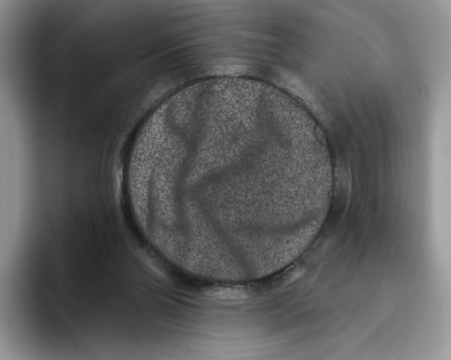 X0000093480110200711091633