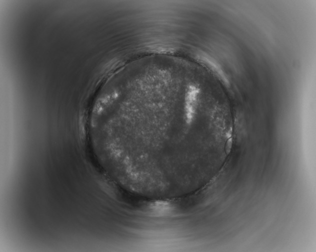 X0000093480114200711091633