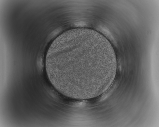 X0000093480116200711091633