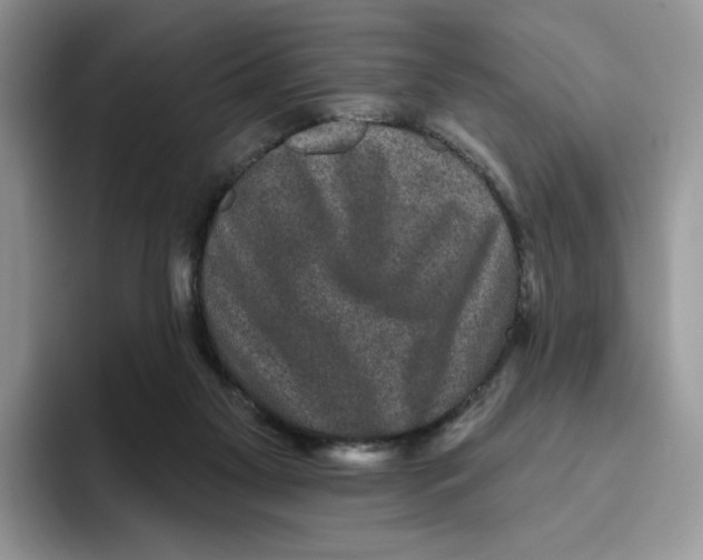 X0000093480117200711091633
