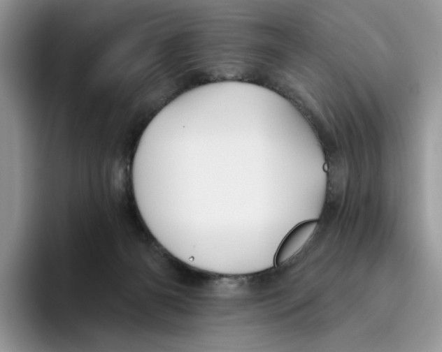 X0000093480126200711091633