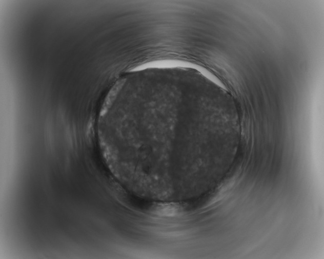 X0000093480127200711091633