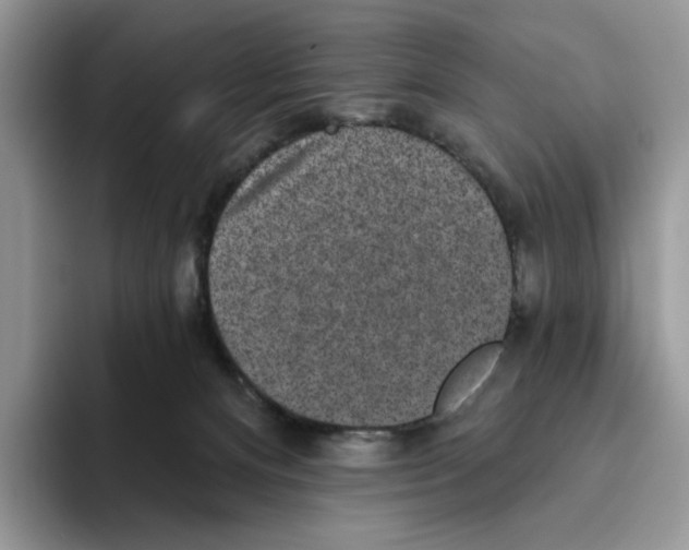 X0000093480128200711091633