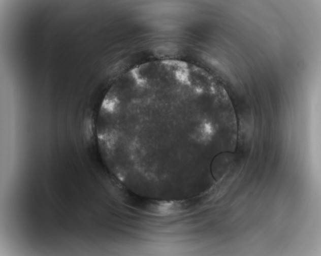 X0000093480130200711091633