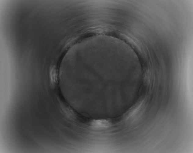 X0000093480137200711091633