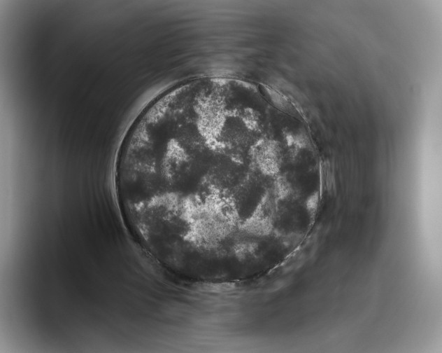 X0000093480147200711091633