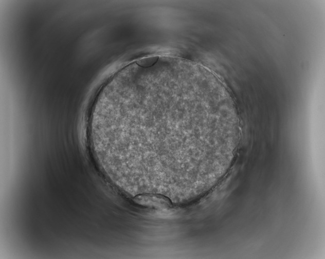 X0000093480149200711091633