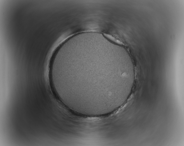 X0000093480150200711091633