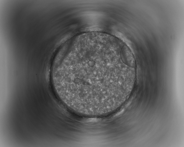 X0000093480153200711091633