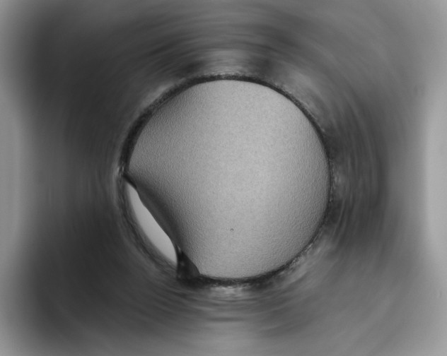 X0000093480160200711091633