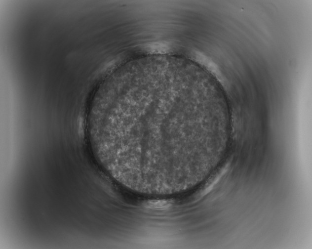 X0000093480161200711091633