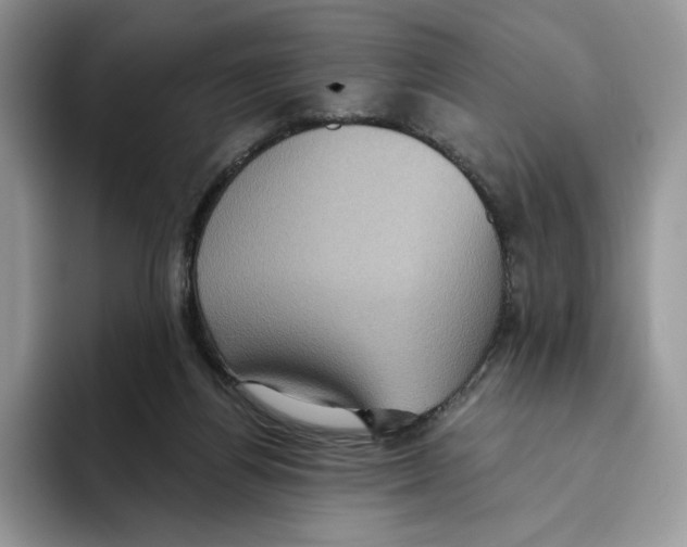 X0000093480164200711091633